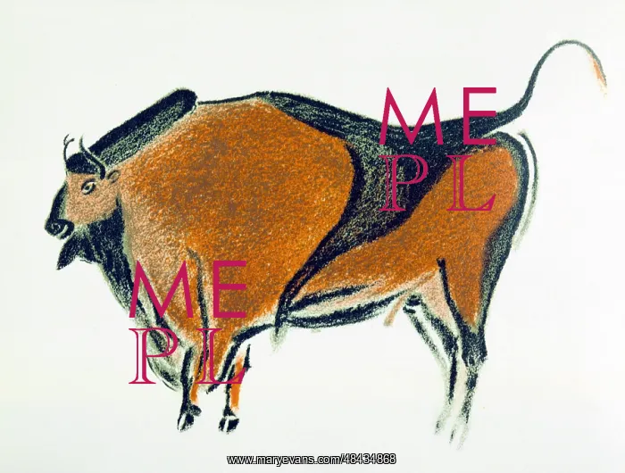 : Bison: Palaeolithic cave painting at Altamira : Bison: Palaeolithic cave painting at Altamira