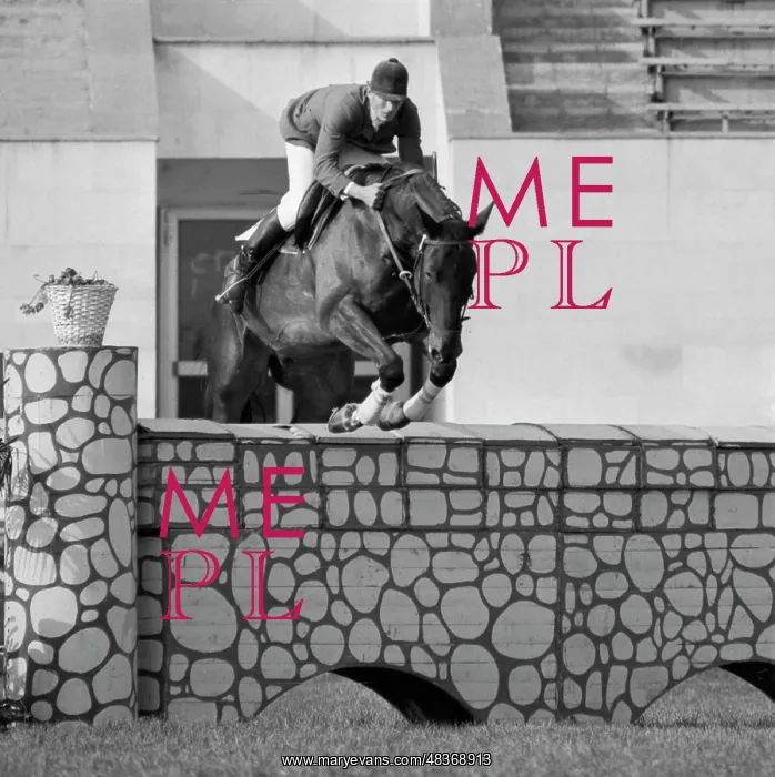 : Bitsa equestrian centre : Bitsa equestrian centre