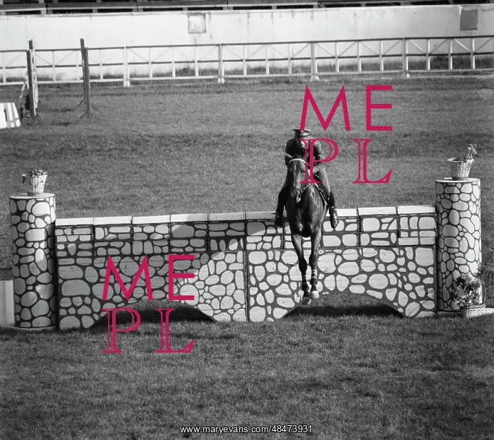 : Bitsa equestrian centre : Bitsa equestrian centre