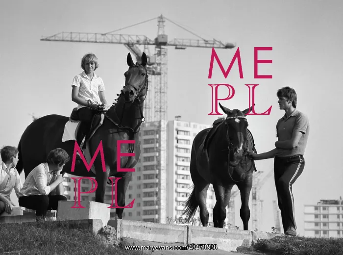 : Bitsa equestrian centre : Bitsa equestrian centre