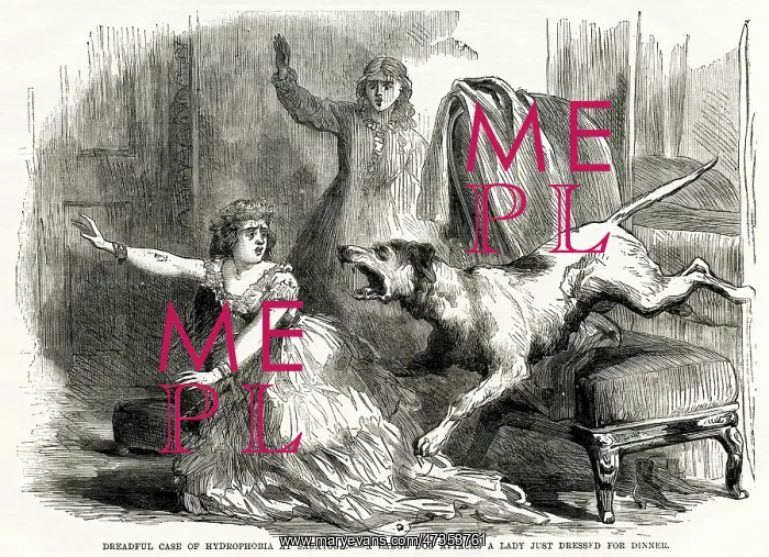 : Bitten by rabid dog 1870 : Bitten by rabid dog 1870