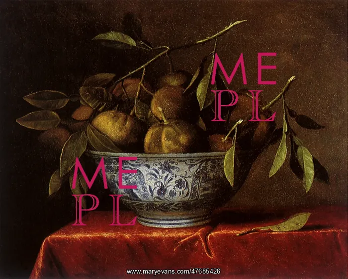  : Bitter Oranges in a Delft Bowl