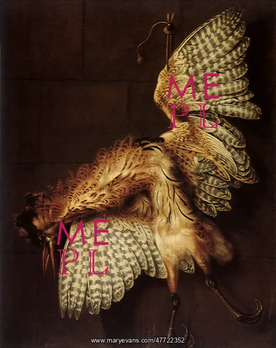  : Bittern
