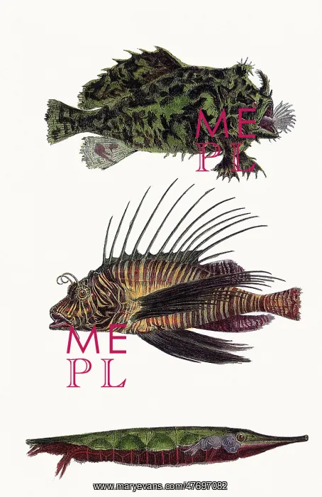  : Bizarre Fish