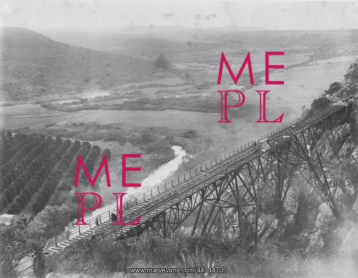 : Blaaukrantz River Bridge Disaster : Blaaukrantz River Bridge Disaster