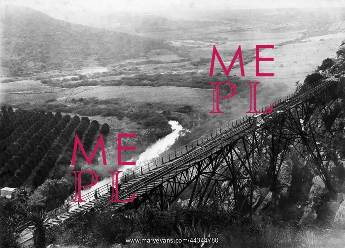 : Blaaukrantz River Bridge Disaster : Blaaukrantz River Bridge Disaster