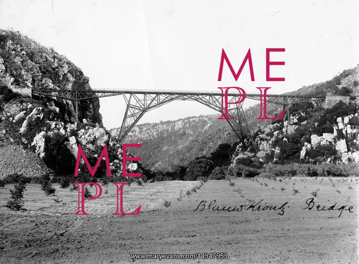 : Blaaukrantz River Bridge Disaster : Blaaukrantz River Bridge Disaster