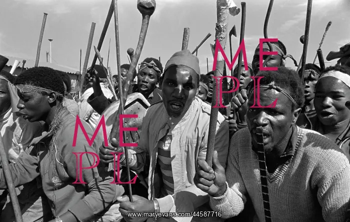 : Black African protesters, armed with cultural : Black African protesters, armed with cultural