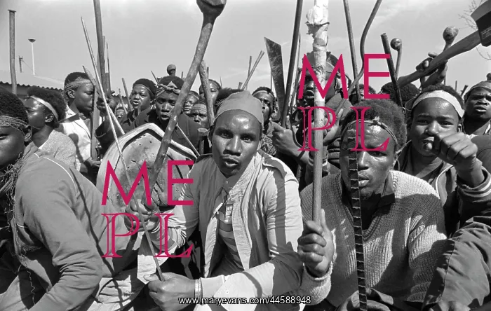 : Black African protesters, armed with cultural : Black African protesters, armed with cultural