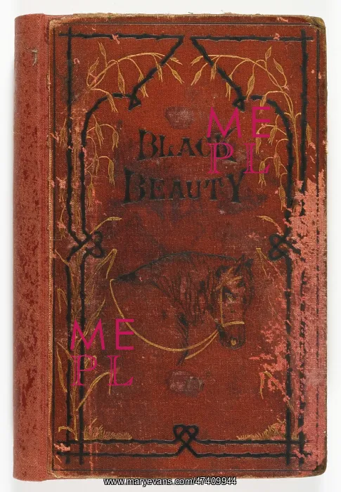 : BLACK BEAUTY 1ST EDITION : BLACK BEAUTY 1ST EDITION