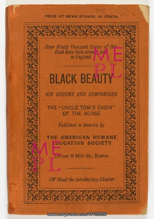 : Black Beauty, American first edition : Black Beauty, American first edition