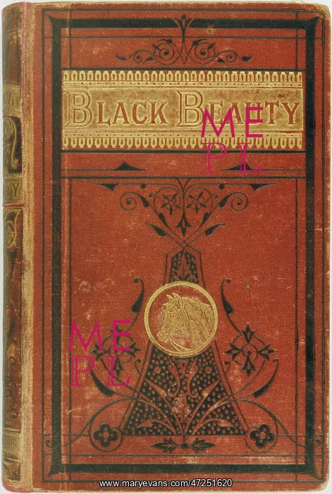 : BLACK BEAUTY / BOOK : BLACK BEAUTY / BOOK