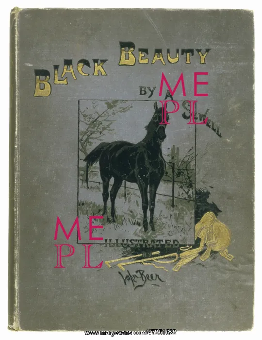 : BLACK BEAUTY BOOK / C19TH : BLACK BEAUTY BOOK / C19TH