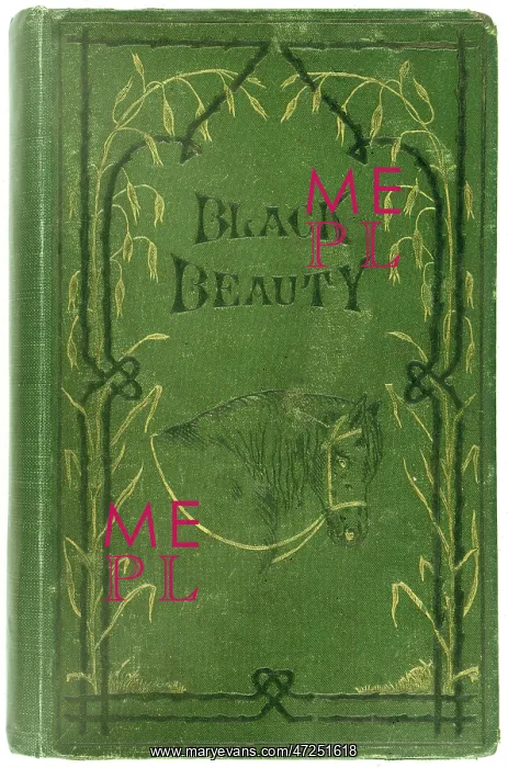: BLACK BEAUTY / FIRST ED : BLACK BEAUTY / FIRST ED