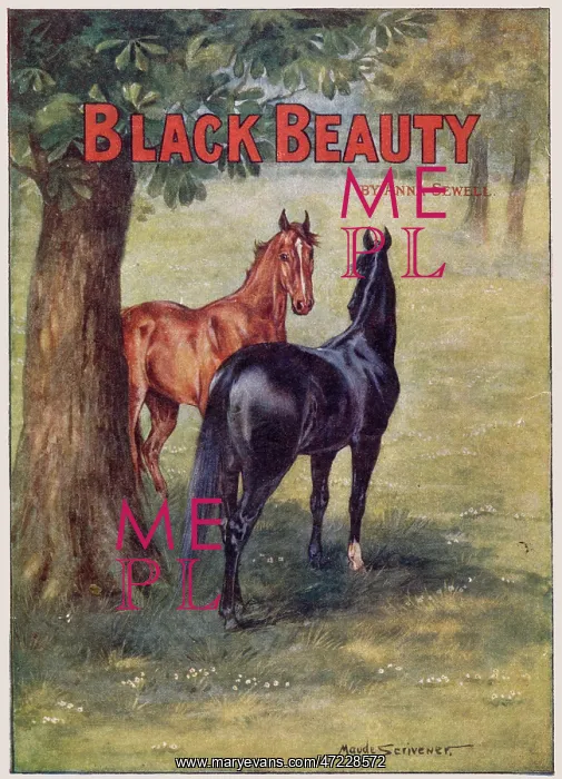 : Black Beauty and Ginger : Black Beauty and Ginger