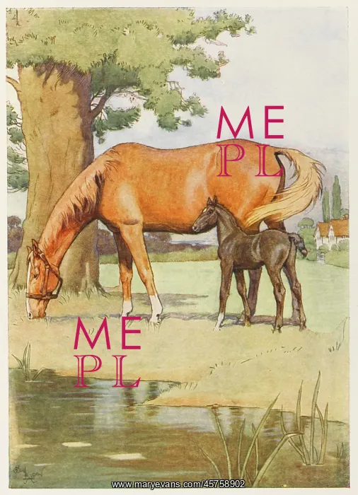 : Black Beauty and mother : Black Beauty and mother