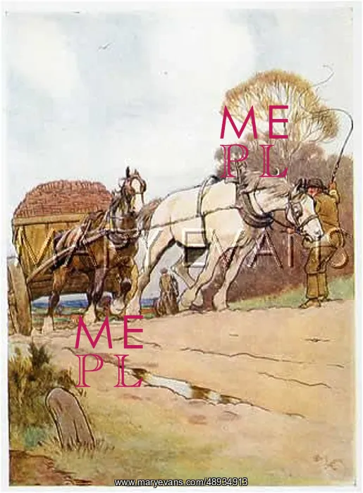 : Black Beauty and the wagon : Black Beauty and the wagon