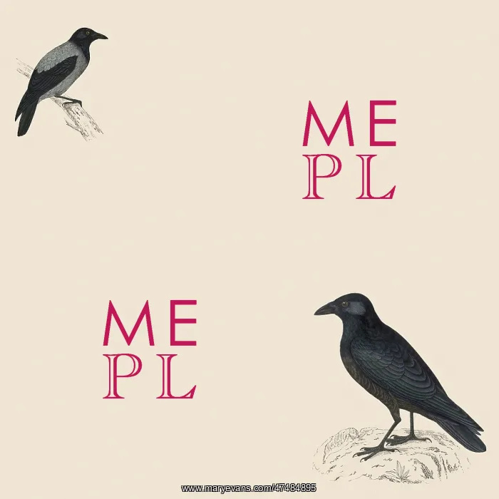 : Two Black Birds : Two Black Birds