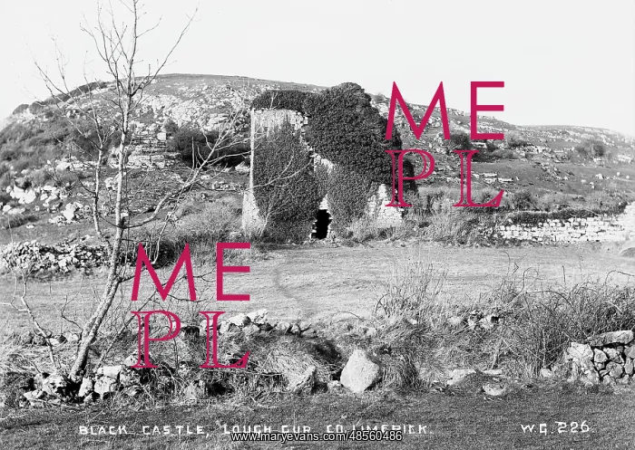 : Black Castle, Lough Gur, Co Limerick : Black Castle, Lough Gur, Co Limerick