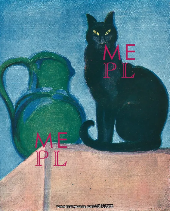 : The Black Cat : The Black Cat