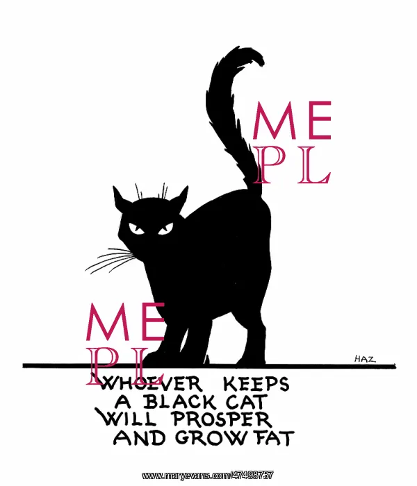  : Black Cat. A Black Cat with the words: Whoever keeps a black cat will prosper and grow fat