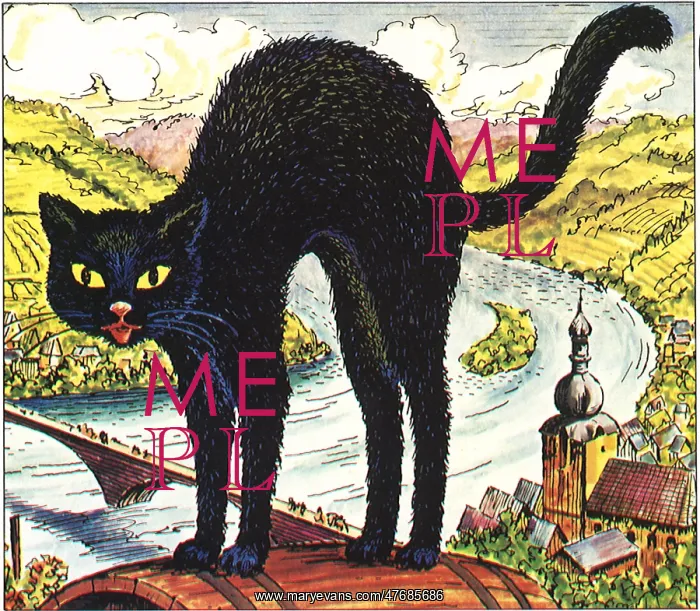 : Black Cat : Black Cat