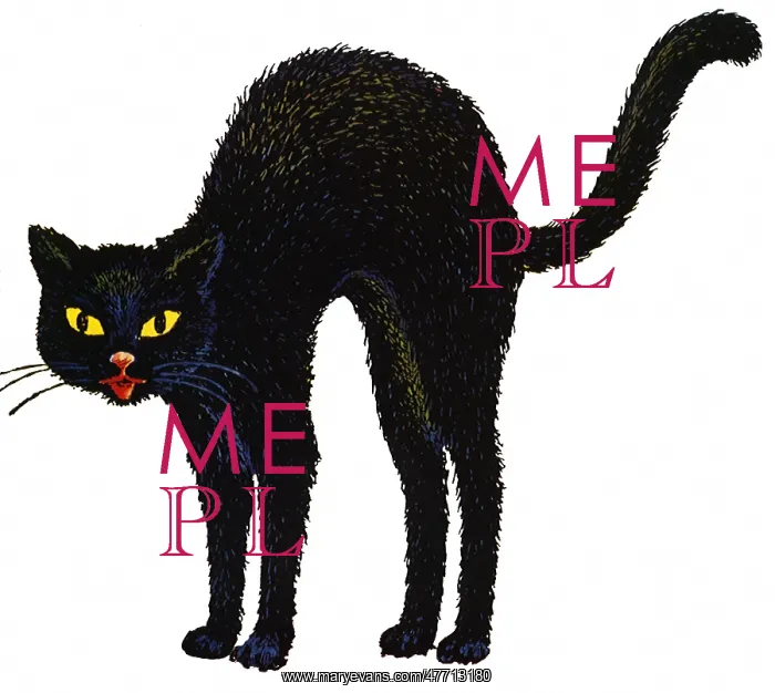  : Black Cat Arches Back