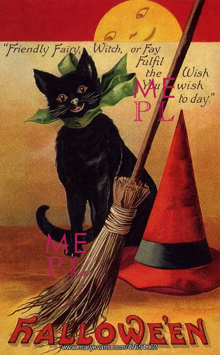 : Black Cat, Broom and Witch's Hat : Black Cat, Broom and Witch's Hat