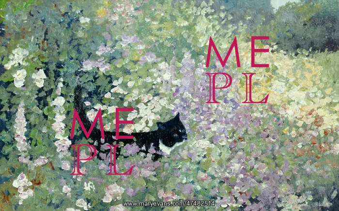  : Black cat amongst flowers