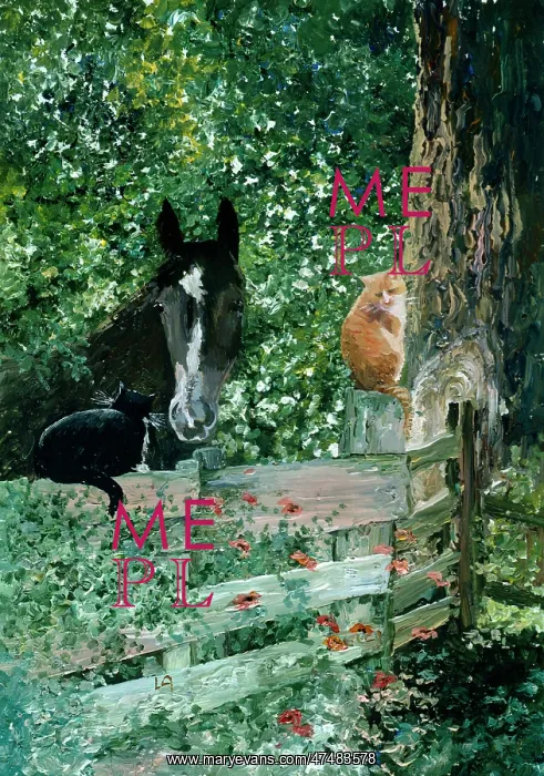  : Black cat, ginger cat and horse by gate
