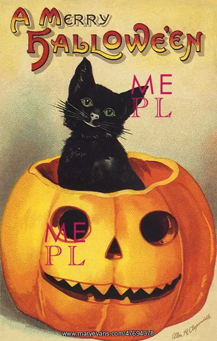  : Black Cat in Jack-o-Lantern