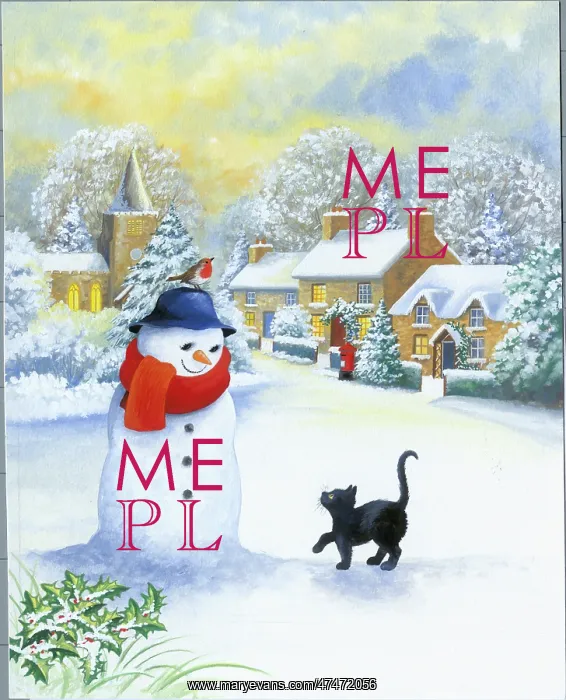  : Black cat looking at snowman