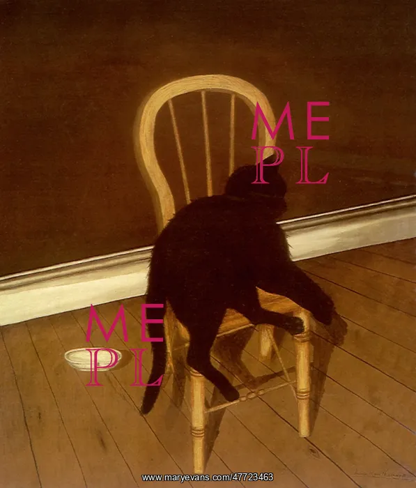  : Black Cat Lying on a Chair