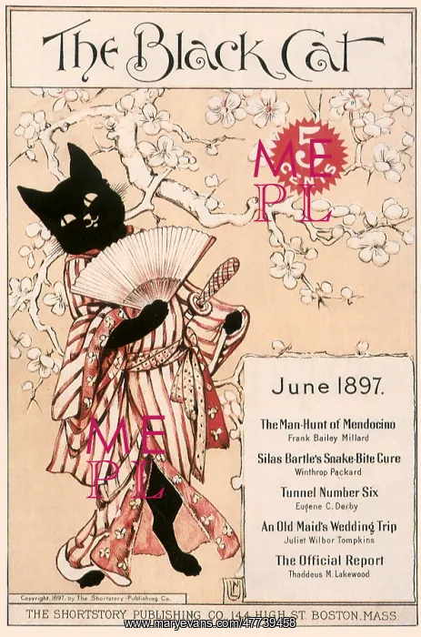  : The Black Cat Magazine