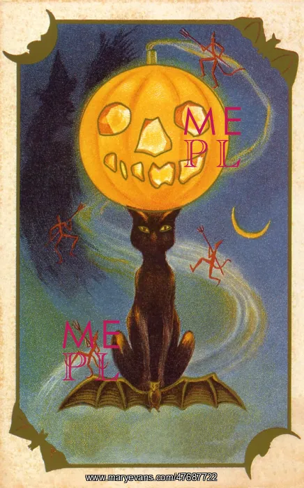  : Black Cat and Pumpkin