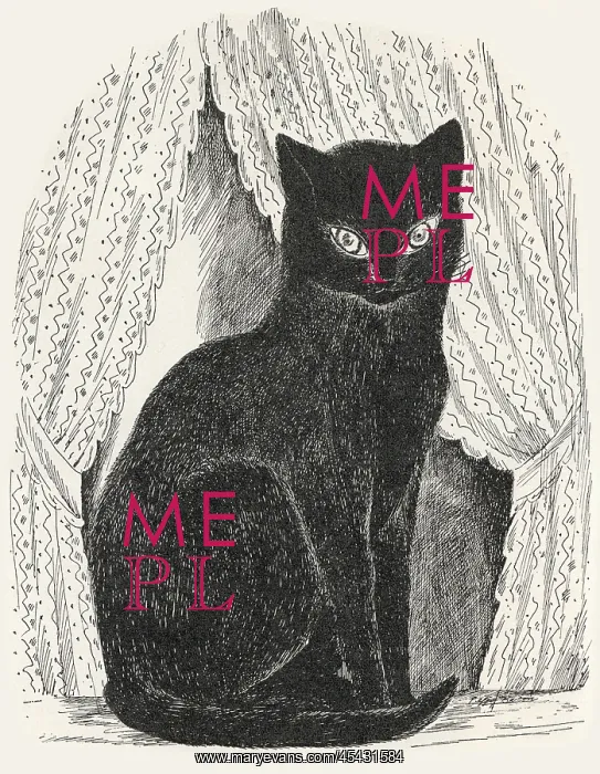  : Black cat seated, staring ahead