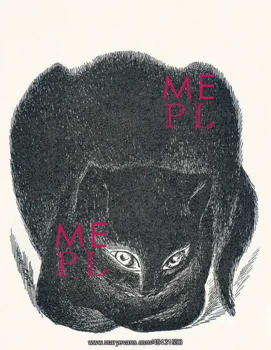 : Black cat seated, staring ahead : Black cat seated, staring ahead