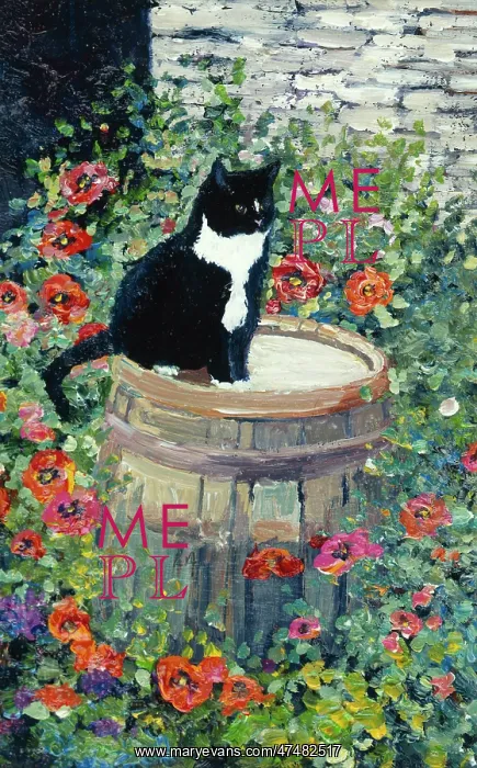  : Black cat sitting on barrel