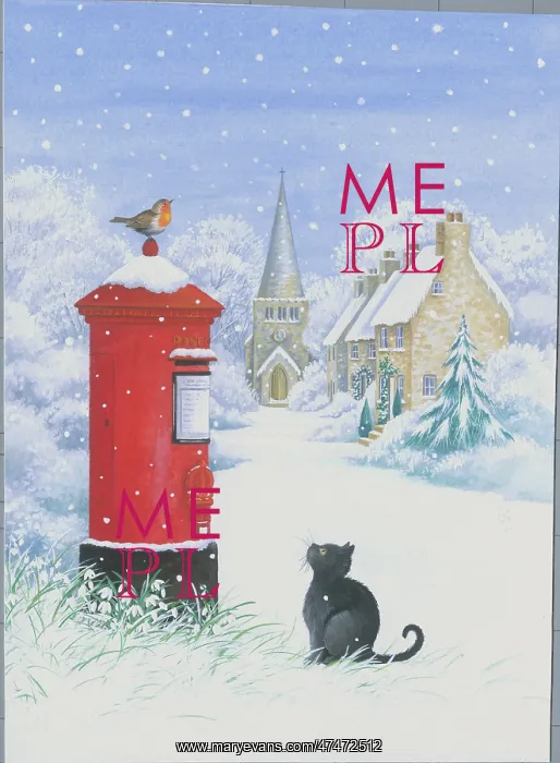  : Black cat watching robin in snow
