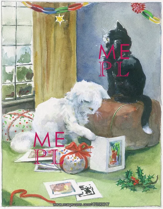 : Black cat and white cat with Christmas cards : Black cat and white cat with Christmas cards