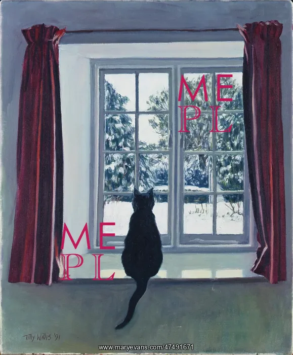 : Black cat on a window sill with snow outside : Black cat on a window sill with snow outside