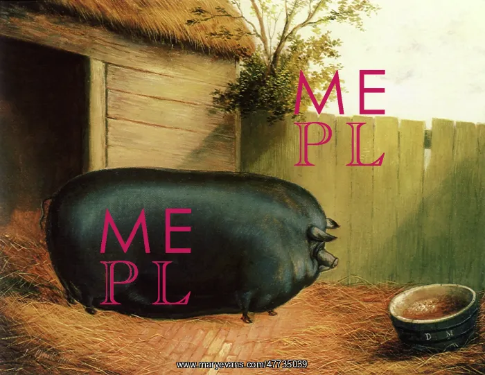  : Black Chinese Sow