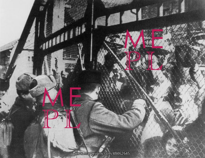 : BLACK FOREST MARCH / 1934 : BLACK FOREST MARCH / 1934