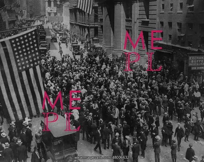 : Black Friday in New York, 1929 : Black Friday in New York, 1929