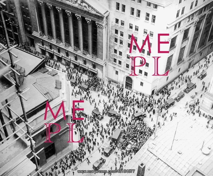 : Black Friday in New York, 1929 : Black Friday in New York, 1929