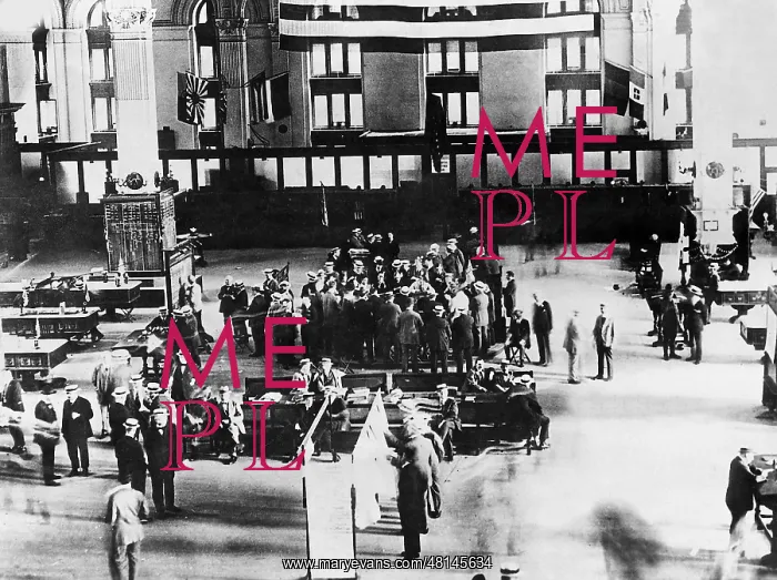 : Black Friday on the Wall Street, 1929 : Black Friday on the Wall Street, 1929