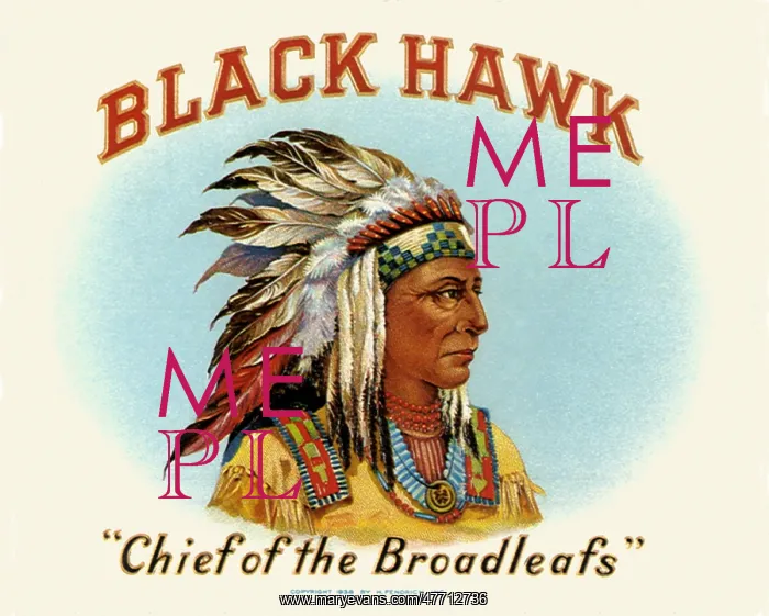  : Black Hawk