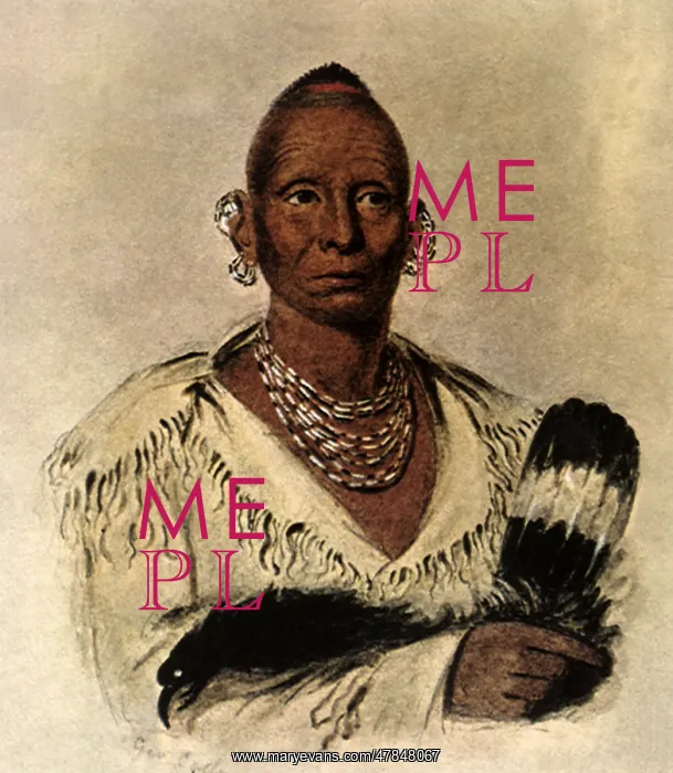 : Black Hawk, Native American Sac Chief, by George Catlin : Black Hawk, Native American Sac Chief, by George Catlin