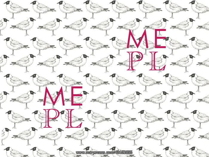  : Black Headed gull repeating pattern