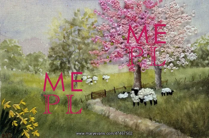: Black-headed Sheep ? in field with cherry trees : Black-headed Sheep ? in field with cherry trees